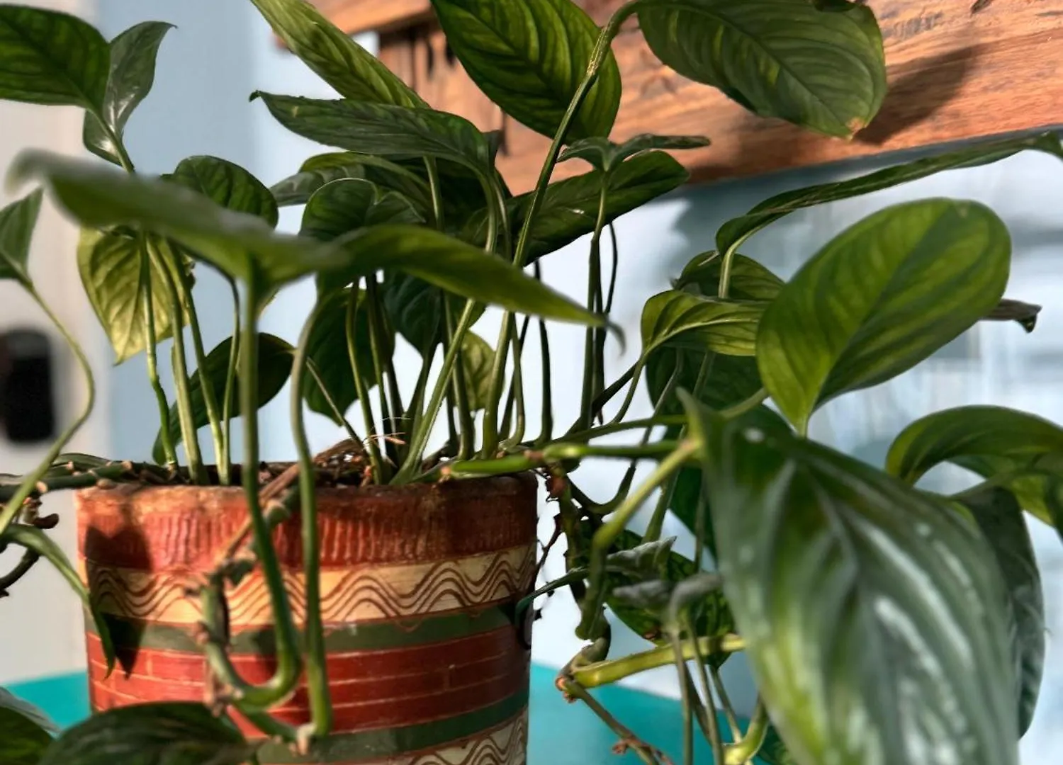 El Barrio Hostal Hostel Cartagena