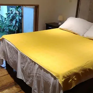 Parrot House San Antonio Apartment Cali
