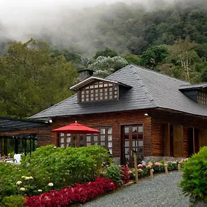 Mercedes Lodge Cali